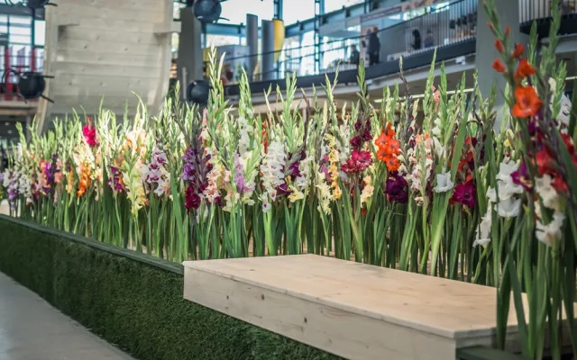 FOTO/ANKETA: Začala podzimní Flora. Jak se vám líbí letošní hlavní expozice?