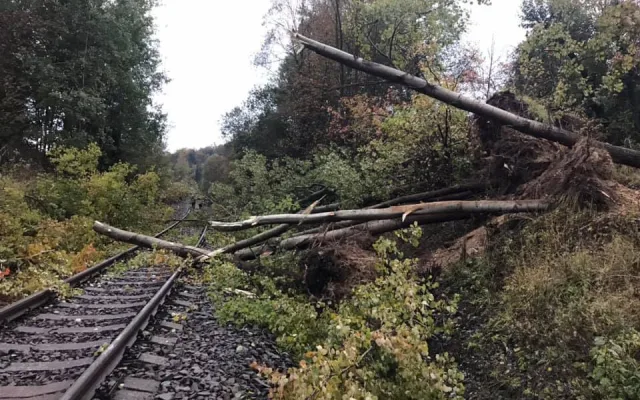 FOTO: Rychlík, ve kterém bylo přes třicet cestujících, narazil do sedmi popadaných stromů