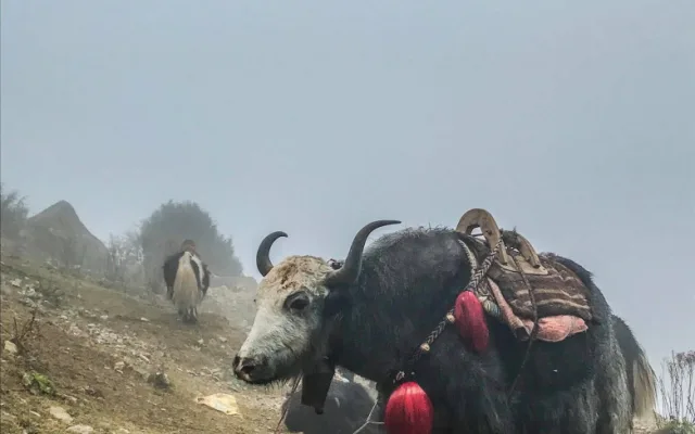 Z OLOMOUCE DO HIMÁLAJE #3: První pohled na Everest