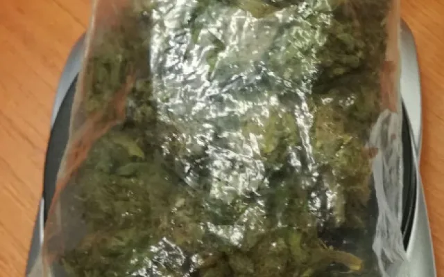 FOTO: Marihuana, hašiš i pervitin. Olomoučtí kriminalisté odhalili za víkend tři dealery drog