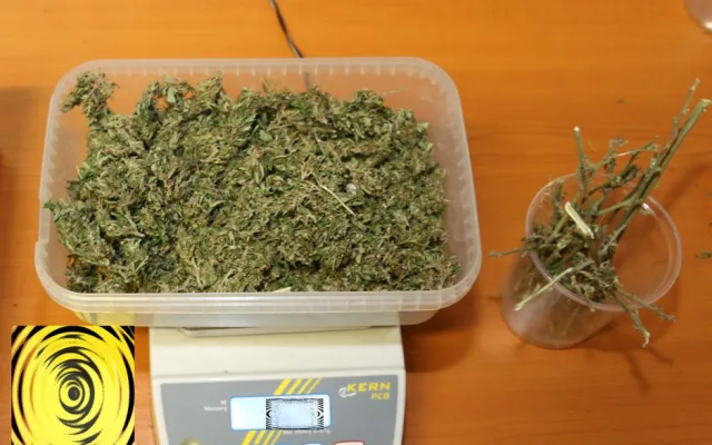 FOTO: Marihuana, hašiš i pervitin. Olomoučtí kriminalisté odhalili za víkend tři dealery drog