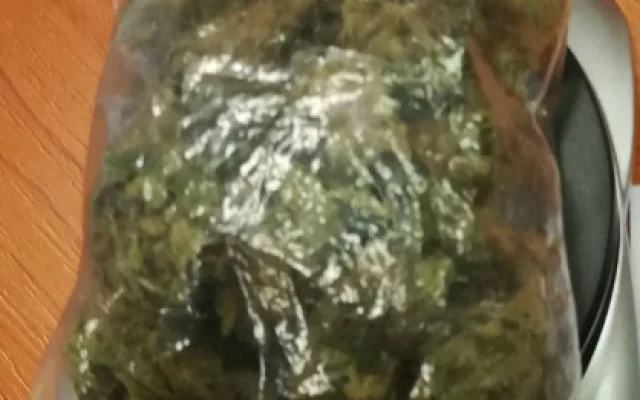 FOTO: Marihuana, hašiš i pervitin. Olomoučtí kriminalisté odhalili za víkend tři dealery drog