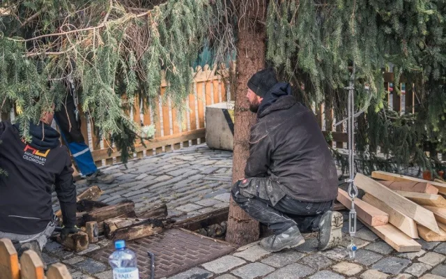 FOTO: Olomouckým vánočním stromem je jedenáctimetrový smrk. Podívejte se