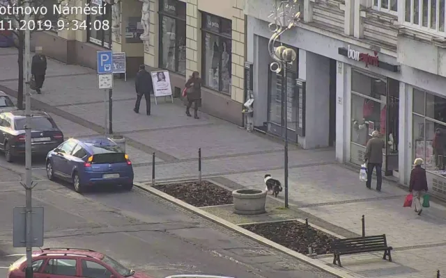 FOTO: Zakrvácený pes se toulal městem. Najít ho pomohli strážníci