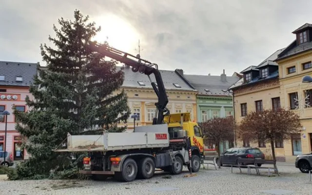 FOTO: Ve Šternberku už stojí vánoční strom. Je z Bohuňovic a rozsvěcovat se bude v neděli