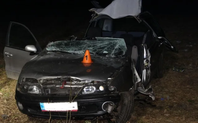 FOTO: Dvaadvacetiletá řidička nezvládla zatáčku, s autem narazila do stromu a skončila v poli