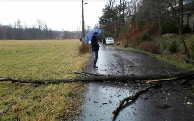 AKTUALIZOVÁNO: Meteorologové varují před silným větrem. Hasiči evidují zvýšený počet výjezdů