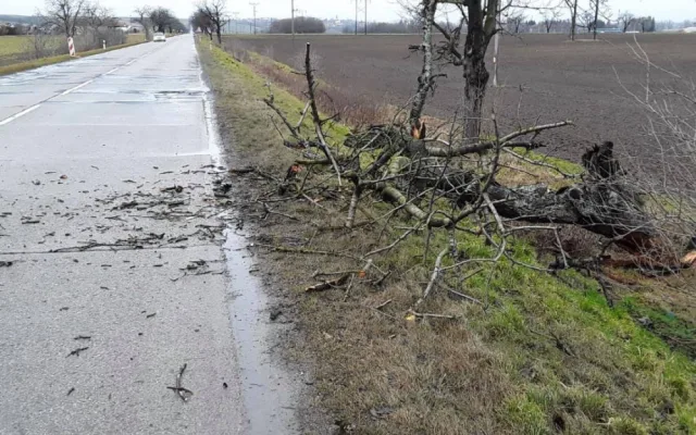 AKTUALIZOVÁNO: Meteorologové varují před silným větrem. Hasiči evidují zvýšený počet výjezdů