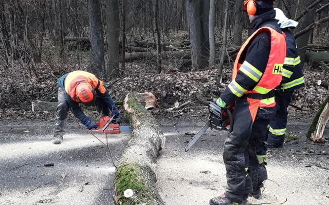 AKTUÁLNĚ: Vítr na Olomoucku sílí, hasiči evidují stále více zásahů