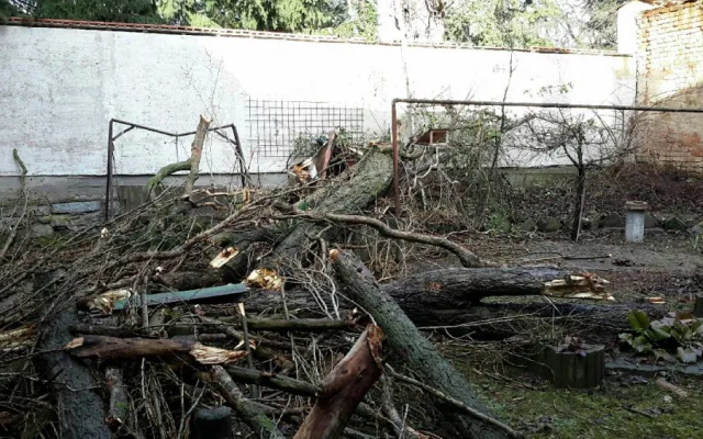 FOTO/VIDEO: Hasiči i dnes pokračují v likvidaci škod po silném větru, evidují desítky výjezdů