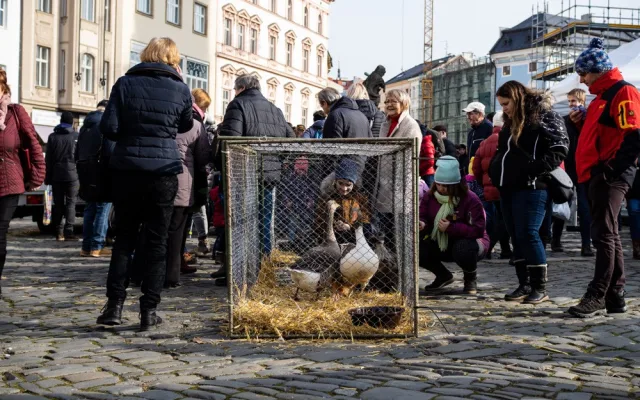 FOTOGALERIE: Olomouckým náměstím prošel druhý masopustní průvod