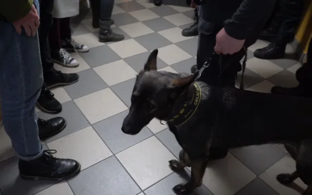 FOTO: Při bezpečnostní akci zaměřené na držení drog policisté a celníci přistihli téměř čtyřicet osob