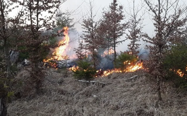 FOTO: Hasiči v kraji během čtyř hodin vyjížděli k devíti požárům lesa