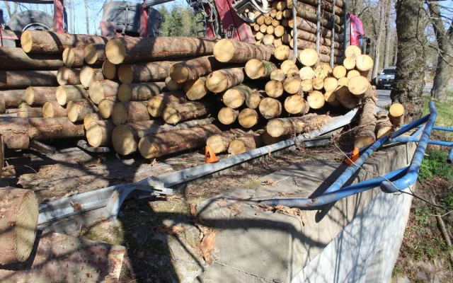 Řidič při projíždění zatáčkou převrátil přívěs s dřevěnými kládami