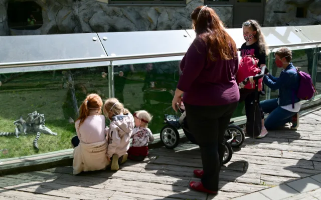 FOTO: Olomoucká zoo se dnes opět otevřela pro veřejnost