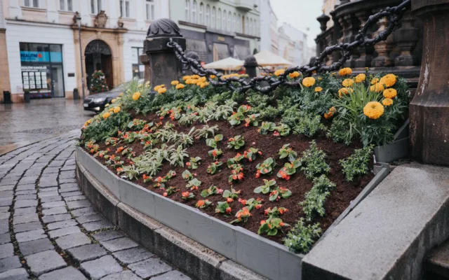 FOTO: Na olomouckém Horním náměstí vykvetl Sloup Nejsvětější Trojice. Jak se vám líbí?