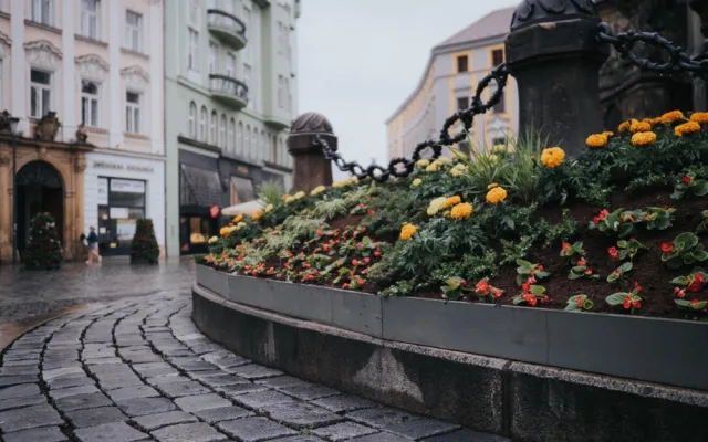 FOTO: Na olomouckém Horním náměstí vykvetl Sloup Nejsvětější Trojice. Jak se vám líbí?