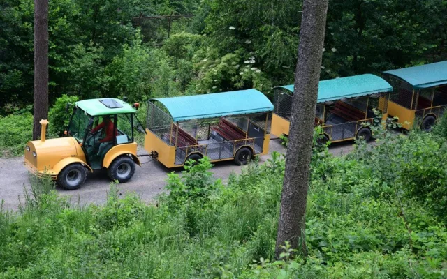 FOTO: První vlčí safari v republice! Olomoucká zoo dnes zahájila provoz safarivláčku