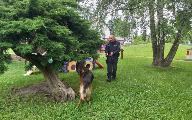 FOTO: Policie musela nechat vyklidit celou školu i školku. Někdo nahlásil, že vyletí do povětří
