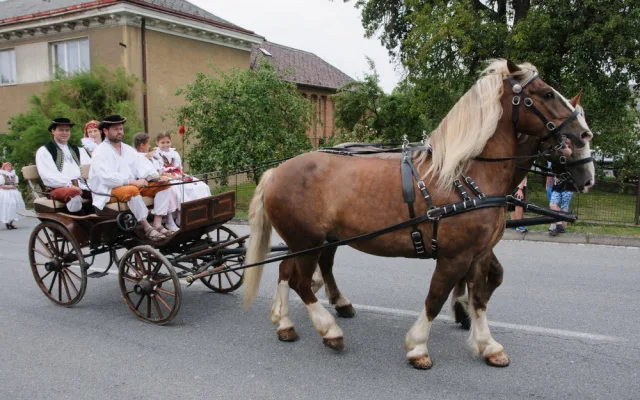 První červencový víkend nabídně Jízdu králů v Doloplazech. Bude krojované mše i koncerty