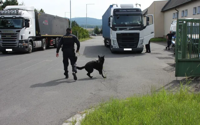 Dálniční policisté kontrolovali u Přáslavic nákladní vozidla. Zjistili 19 přestupků u 25 řidičů