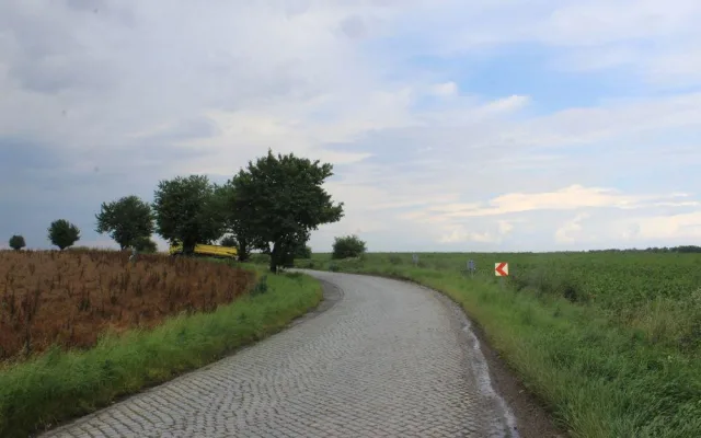 FOTO: Řidič s náklaďákem havaroval do stromu. Škoda je vyčíslena na 100 tisíc korun