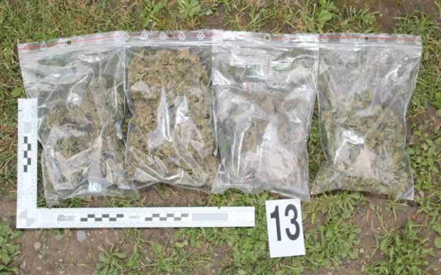 Desítky rostlin konopí, kila sušené marihuany, hašiš i pervitin našli policisté při domovní prohlídce dealera