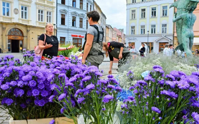 FOTO: Po Sloupu Nejsvětější Trojice vykvetla i vedlejší Arionova kašna. Tentokrát bílými a modrými květy