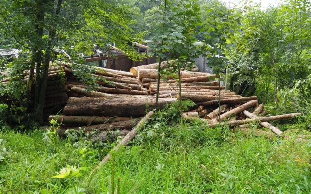 Pod naloženým kamionem se dřevem se utrhla krajnice. Škoda se vyšplhala k milionu korun