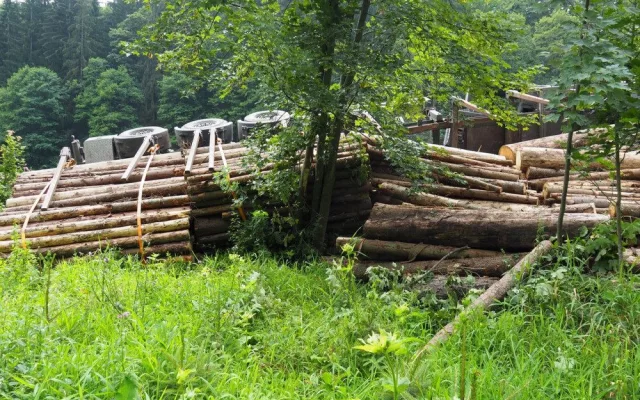 Pod naloženým kamionem se dřevem se utrhla krajnice. Škoda se vyšplhala k milionu korun