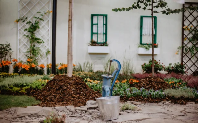 Foto: Letní Flora Olomouc přilákala během čtyř dnů 15 tisíc návštěvníků