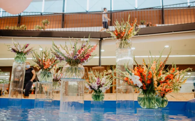 Foto: Letní Flora Olomouc přilákala během čtyř dnů 15 tisíc návštěvníků
