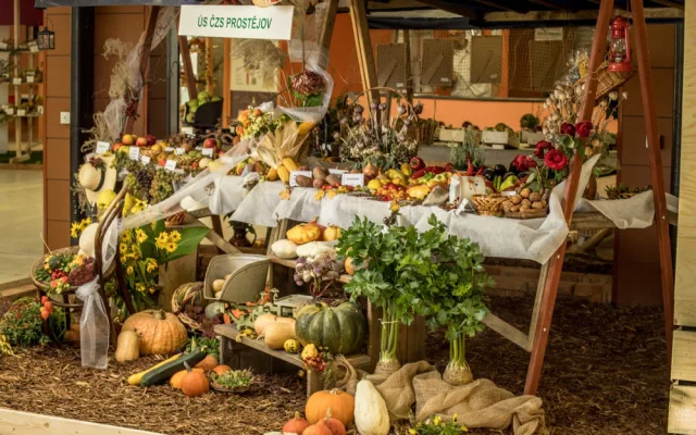 Blíží se podzimní výstava Flora Olomouc. Poukáže na vnitřní krásu rostlin a zdraví plodů