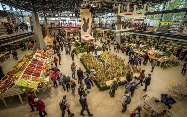 Blíží se podzimní výstava Flora Olomouc. Poukáže na vnitřní krásu rostlin a zdraví plodů