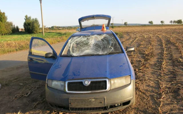 FOTO: Mladý cizinec se v autě čelně srazil s ženou na elektrokole a skončil v poli