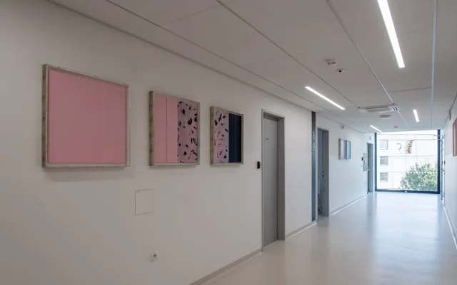 Umění vkusně doplňuje moderní architekturu nové budovy hemato-onkologické kliniky.
