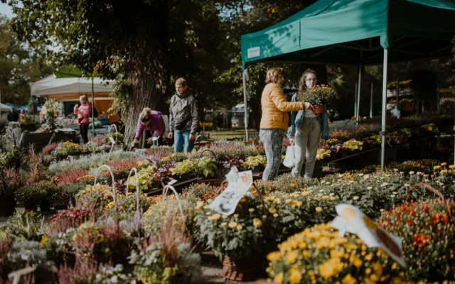 FOTO: Čtyřdenní podzimní Flora Olomouc zaznamenala poloviční návštěvnost.
