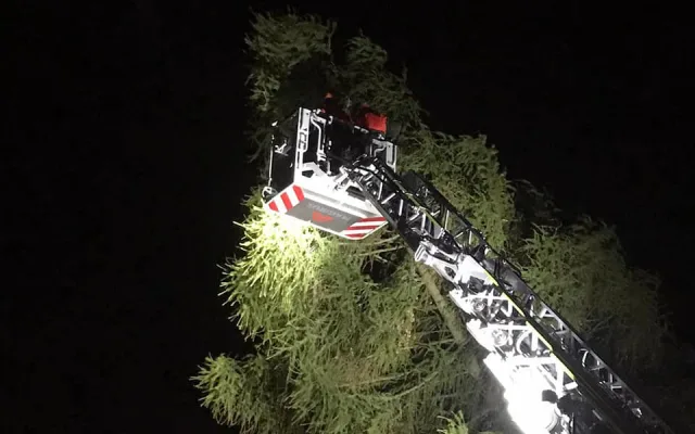 FOTO: Více než 220 výjezdů hasičů v kraji. Silný vítr o víkendu nejčastěji vyvracel stromy