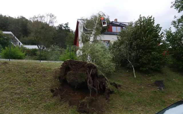 FOTO: Více než 220 výjezdů hasičů v kraji. Silný vítr o víkendu nejčastěji vyvracel stromy