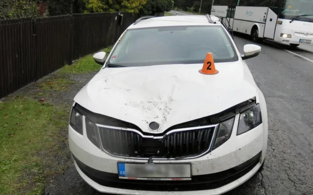 Během jízdy spadl řidiči na kapotu auta spadl strom
