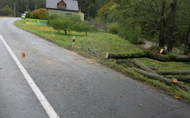 Během jízdy spadl řidiči na kapotu auta spadl strom