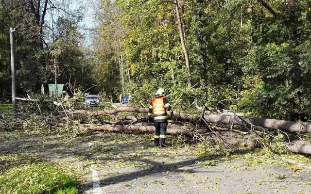 Likvidace následků větru