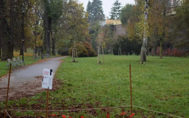 V Bezručových sadech vyrostlo makové pole, které připomíná válečné veterány. Součástí je i veřejná sbírka