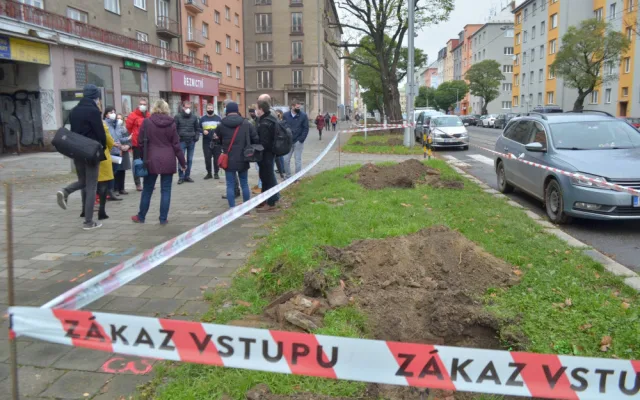 Výsadba stromů Masarykova ulice Olomouc