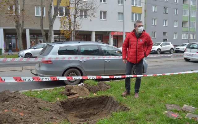 Výsadba stromů Masarykova ulice Olomouc