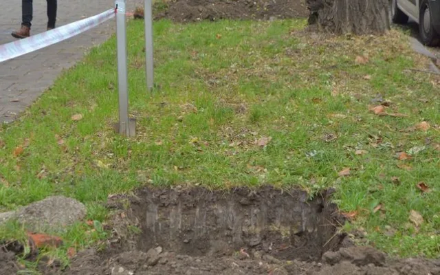 Výsadba stromů Masarykova ulice Olomouc