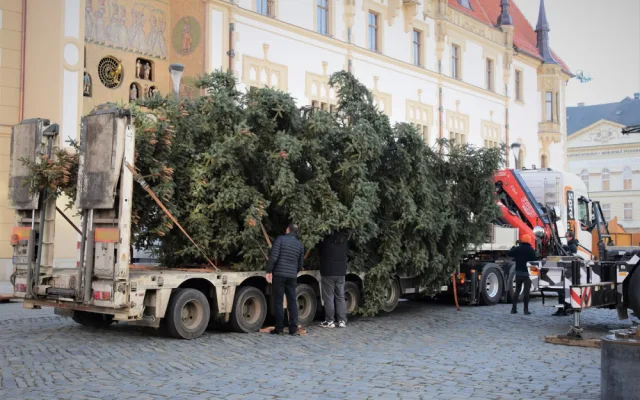 FOTO/VIDEO: Na olomouckém Horním náměstí již stojí vánoční stromeček. Jak se vám líbí?
