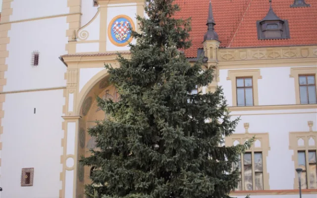 FOTO/VIDEO: Na olomouckém Horním náměstí již stojí vánoční stromeček. Jak se vám líbí?