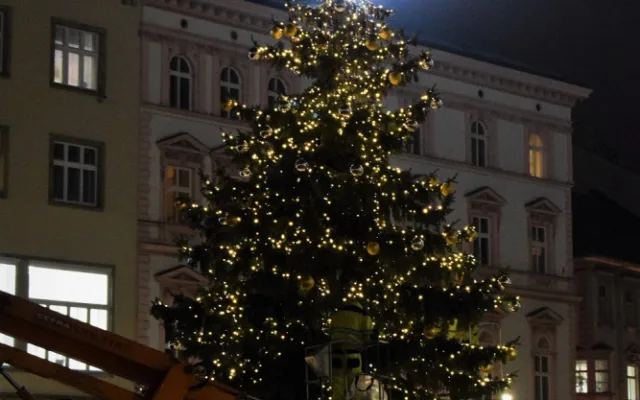 FOTO: Olomoucký vánoční stromeček se rozsvítil. Podívejte se, jak letos vypadá