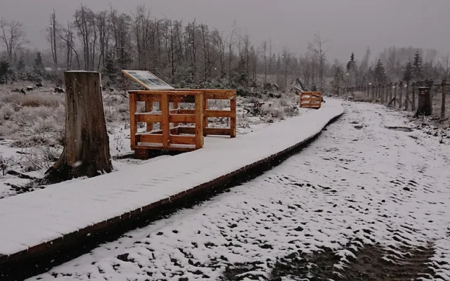 FOTO: Vojenské lesy obnovily prameniště Odry na Libavé. Vybudovaly zde naučnou stezku